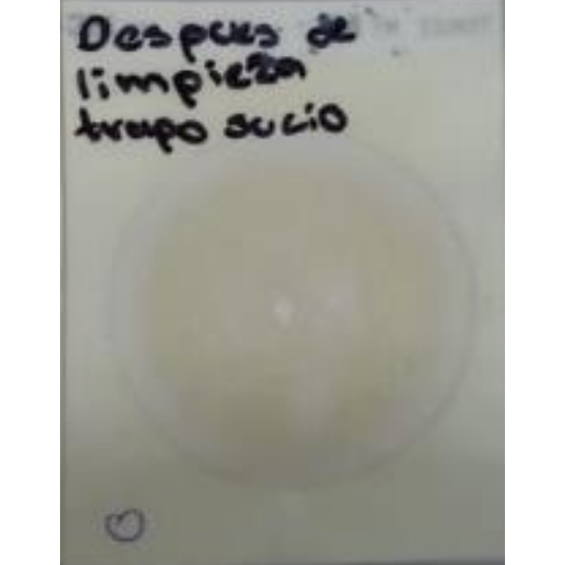 Resultados-Hongos-y-levaduras