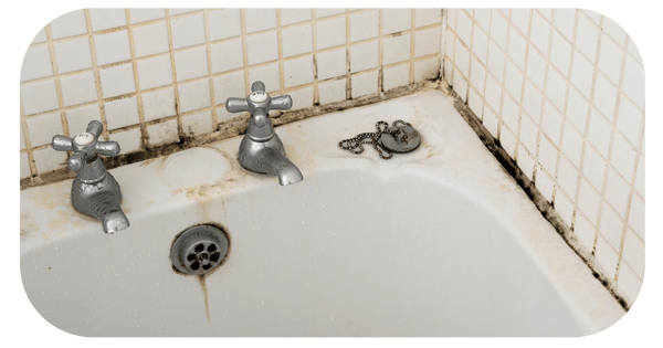 limpiar moho baño azulejo