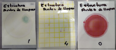 resultados-hisopado-antes-de-limpieza