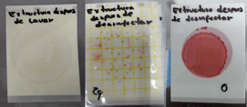 resultados-hisopado-después-de-desinfección